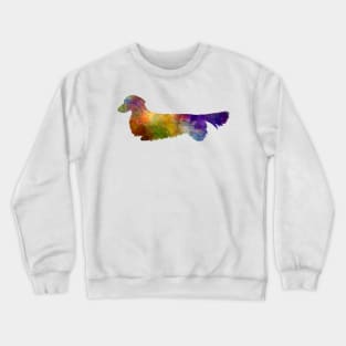 Dachshund Long Haired  in watercolor Crewneck Sweatshirt